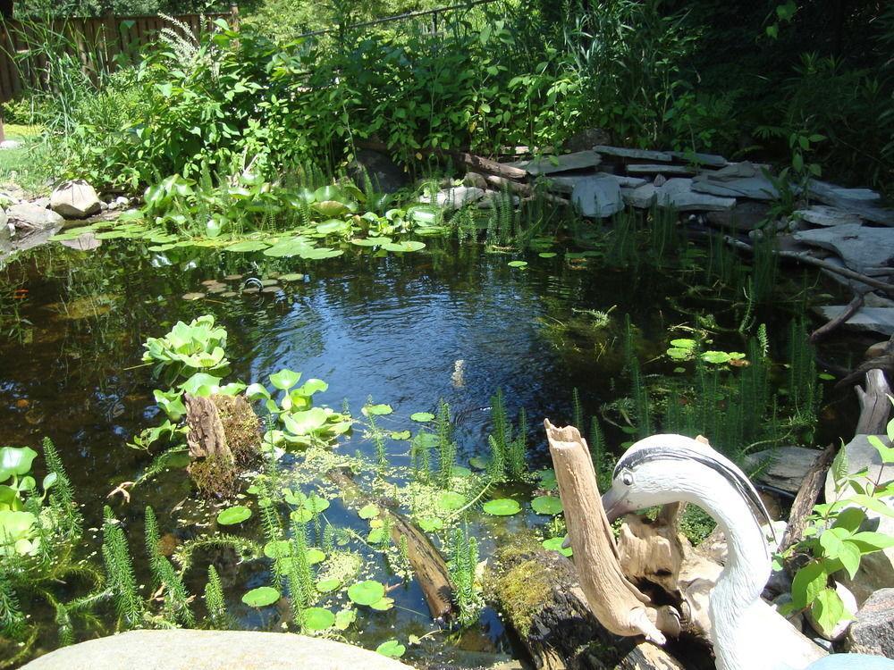 Paddington Place Bed & Breakfast Oshawa Exteriér fotografie